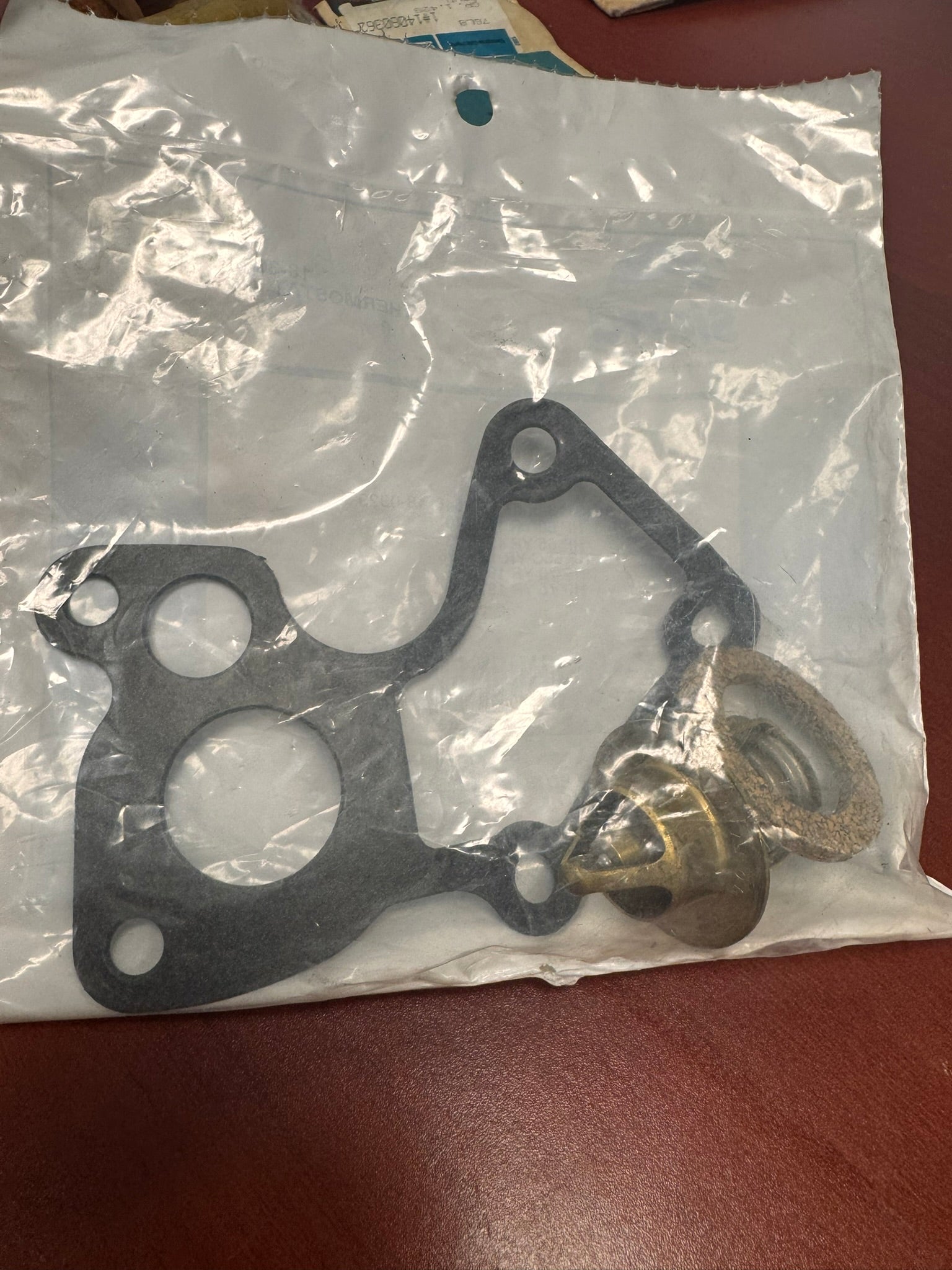 THERMOSTAT KIT 18-3669